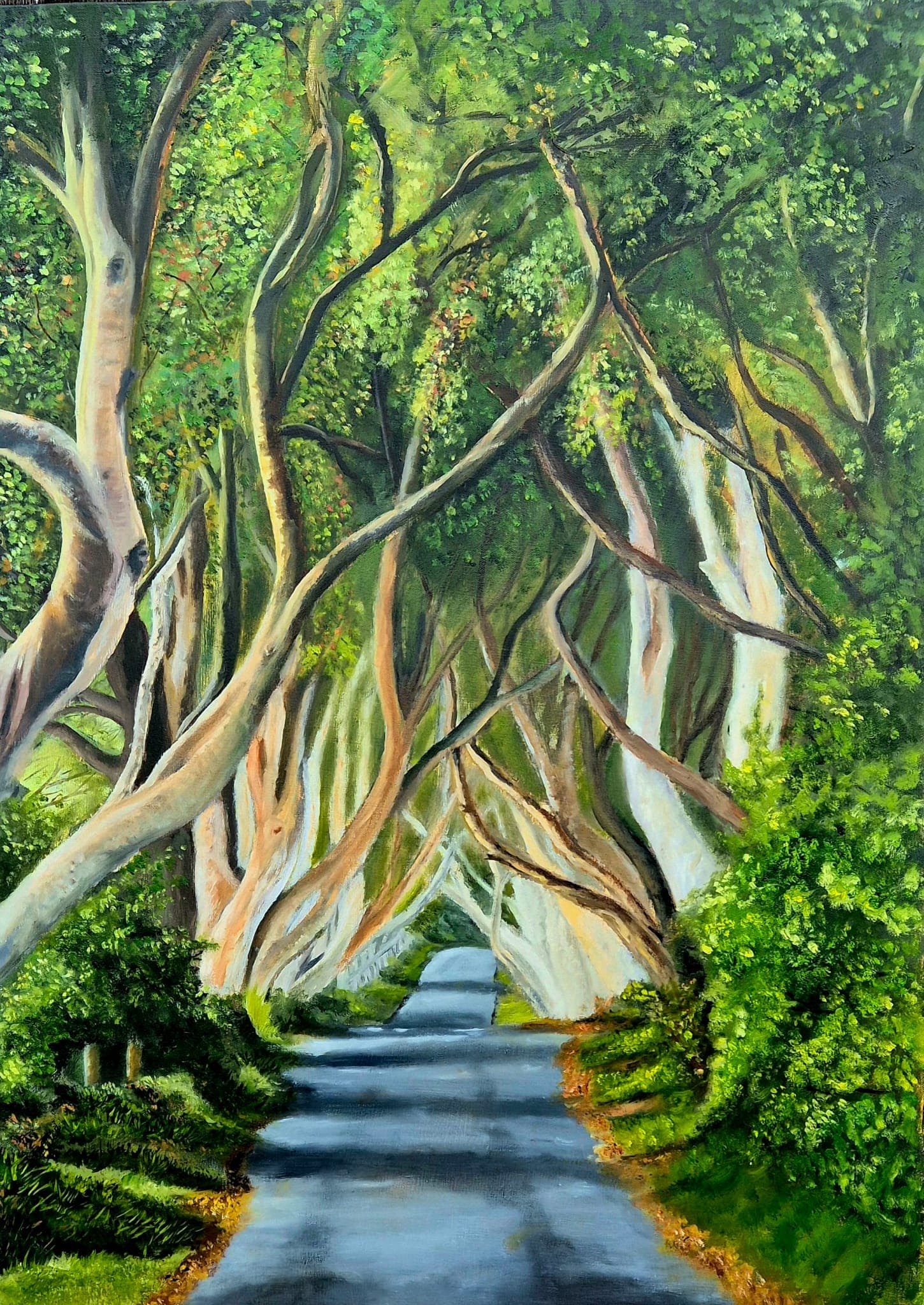 The Dark Hedges — an avenue of tangled beech trees over a country road