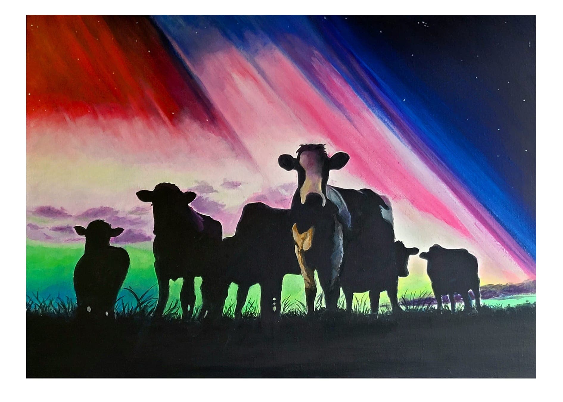 Cattle in silhouette beneath a vivid aurora sky